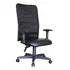 Cadeira Presidente Mobfit Backsystem