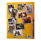Cães E Gatos  Álbum Completo Com Todas Figurinhas Para Cola