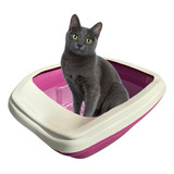 Caixa Gato Banheiro Areia