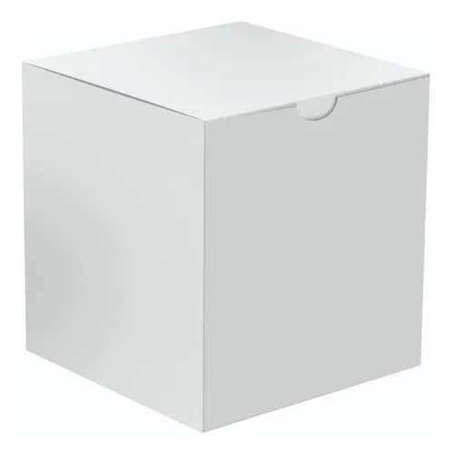 Caixa Para Caneca Porcelana