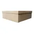 Caixa Tampa Sapato 30x30x10 Atacado - 4 Unidades