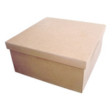 Caixa Tampa Sapato 30x30x10