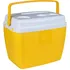 Caixa Termica 36l Bel - Manga