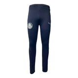 Calca Puma Palmeiras Sweat