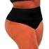 Calcinha Alta Pala Dupla Em Lycra Plus Size Do Tam 46 Ao 60