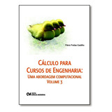 Cálculo Para Cursos De Engenharia: Uma Abordagem Computacional - Vol.3, De Flávio Freitas Castilho. Editora Ciencia Moderna, Capa Mole Em Português