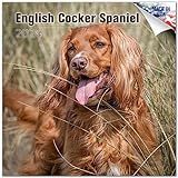 Calendario Cocker Spaniel Ingles