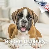 Calendario De Filhotes Boxer