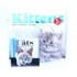 Calendário Parede 2025 Kittens Gatos Filhotes Import. Ingles