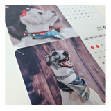 Calendarios Personalizados  