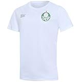 Cam Palmeiras 1914 Ii