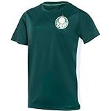 Cam Palmeiras Player Ii