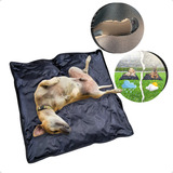 Cama Colchonete Caminha Cachorro