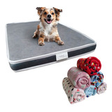 Cama Comfortwell Colchão Ortopédico 70x100 Para Pets