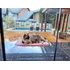 Cama De Janela Para Gatos Pet Suspensa Super Luxo Petlon Cor Rosa