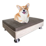 Cama Pet Box Base