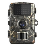 Camera De Caca De