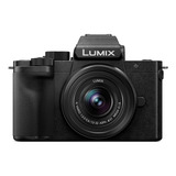 Camera Panasonic Lumix G100d