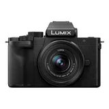 Camera Panasonic Lumix G100d