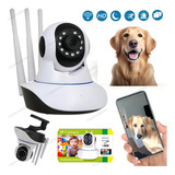 Camera Pet Camera Para