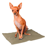 Caminha Gelada Pets Pequenos