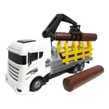 Caminhao Brinquedo Munck Tora