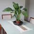 Caminho De Mesa Boho Branco Faixa Marrom 90