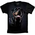 Camisa, Camiseta 5%off Cachorro Rottweiler Animais Linda Top