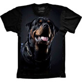 Camisa Camiseta 5