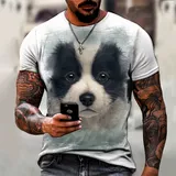 Camisa Camiseta Border Collie