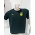 Camisa Da Seleção Brasileira Nike Original  2014 Verde Esc