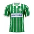 Camisa Do Palmeiras Retro 1993/94 Parmalat (classic N°7)