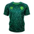 Camisa Fluminense Umbro 2024 Treino Masculino Oficial