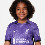 Camisa Nike Liverpool Iii 2023/24 Torcedor Pro Infantil