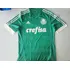 Camisa Palmeiras 2015 Versão Jogador + Calção + Meião!!