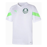 Camisa Palmeiras 2023 Torcedor