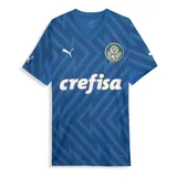 Camisa Palmeiras 3 Home