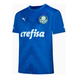 Camisa Palmeiras Goleiro Home