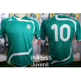 Camisa Palmeiras Original 2007 Titular #10 Juvenil