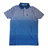 Camisa Polo Hollister Ombre