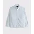 Camisa Social Em Oxford Abercrombie & Fitch Listrada Azul