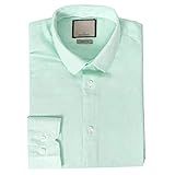 Camisa Social Masculina Slim Luxo Casual Premium (as2, Alpha, Xg, Regular, Verde Claro Flame)