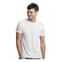 Camiseta Básicas Masculina Malwee Original 100  Algodão