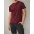 Camiseta Bordô Hollister 100% Algodão Masculina