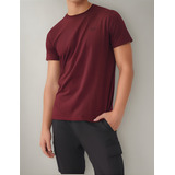 Camiseta Bordo Hollister 100