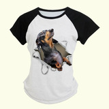 Camiseta Cachorro 3d J2557