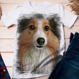Camiseta Cachorro Sheltie 