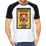 Camiseta Camisa Cachorro Caramelo
