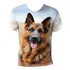 Camiseta Camisa Cachorros De Raça Pastor Alemão Capa Preta 2