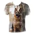 Camiseta Camisa Cachorros De Raça Pastor Alemão Capa Preta 6